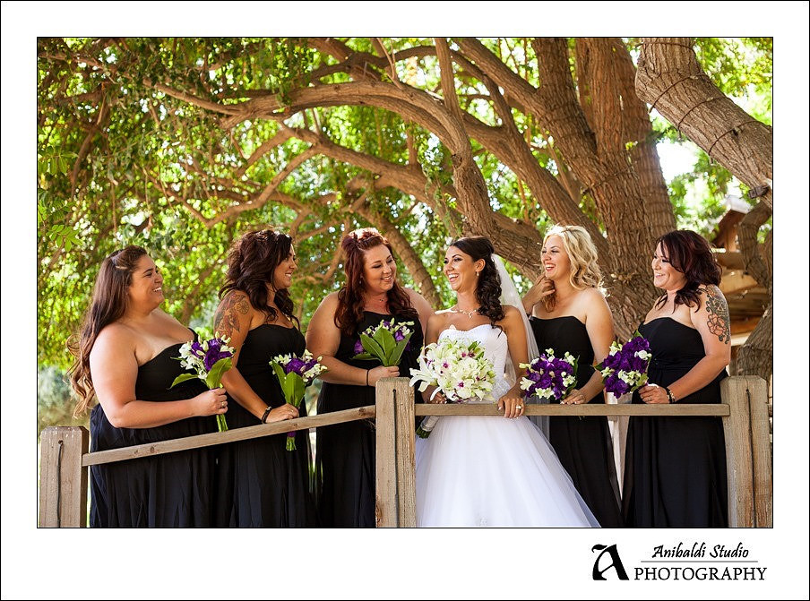 Bride on Bridge at Lake Oak Meadows