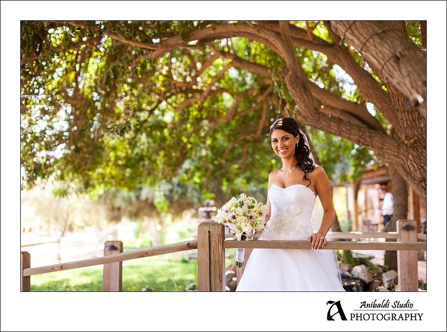 022-Lake Oak Meadows Wedding Photographer