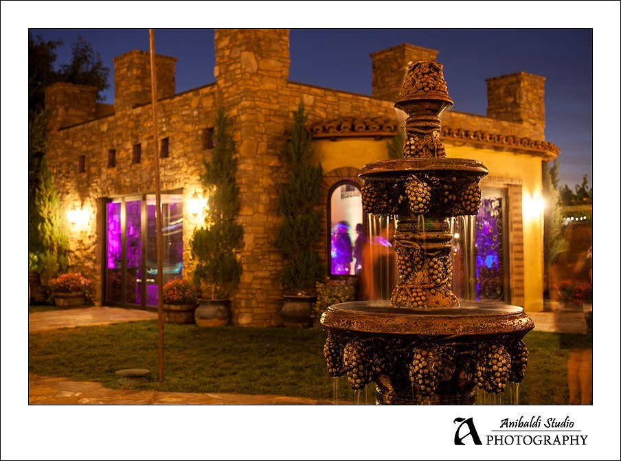 082-Lake Oak Meadows Wedding Photographer