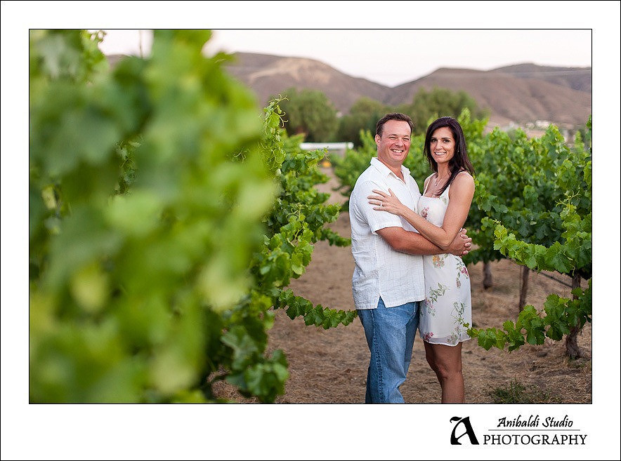 018-Temecula-Vineyard-Winery Engagement Pictures