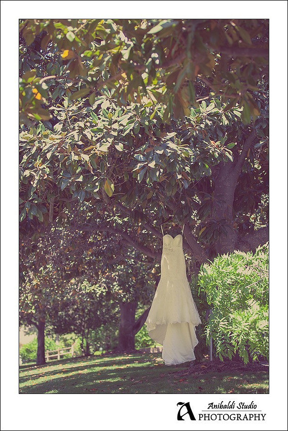 006-temecula creek wedding photograph