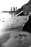 IMG_9350