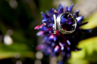 Chandra+Ian_Wed-009