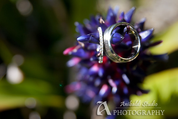 Chandra+Ian_Wed-009