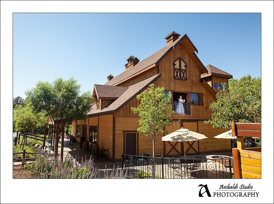 Wedding Photograph at Longshadow Ranch