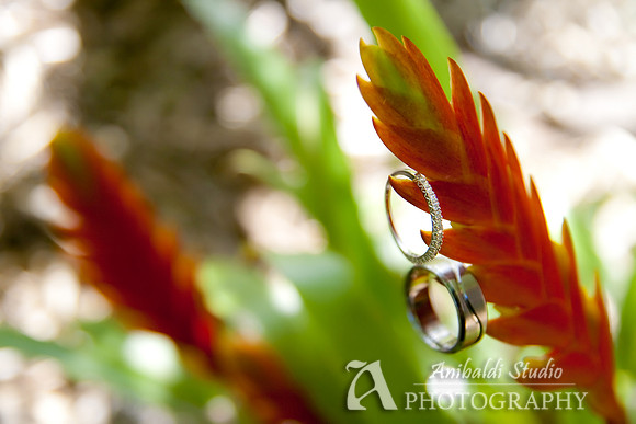 Chandra+Ian_Wed-011