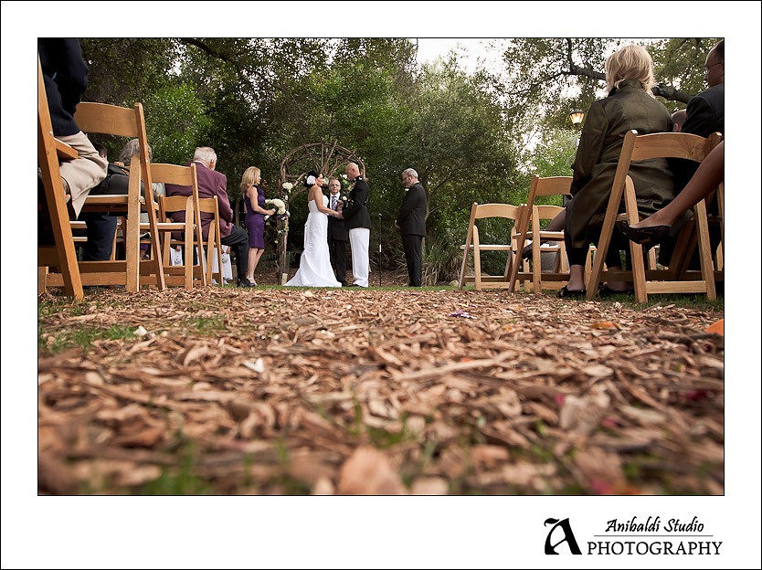 Tmeeucla Creek Stonehouse Wedding Photograph-010