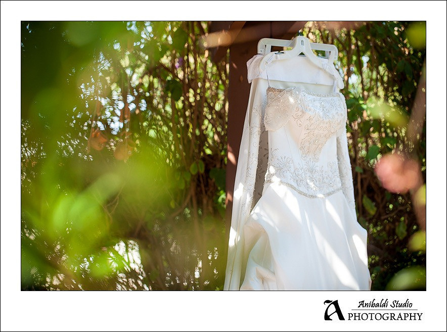 wedding dress in tree