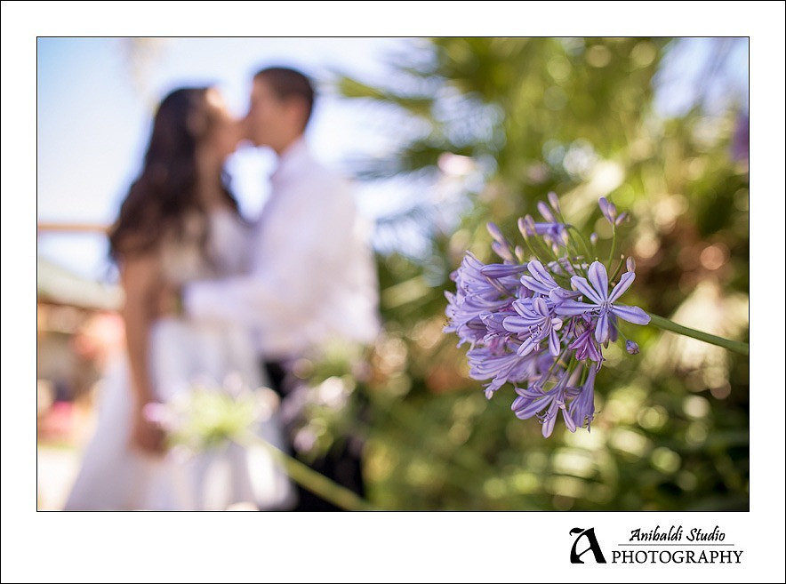 053-South-Coast-Winery-Wedding