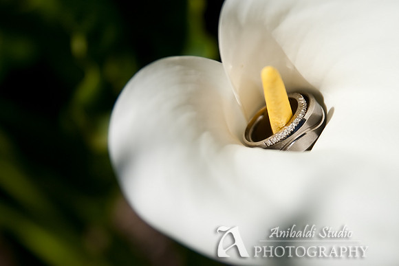 Chandra+Ian_Wed-008