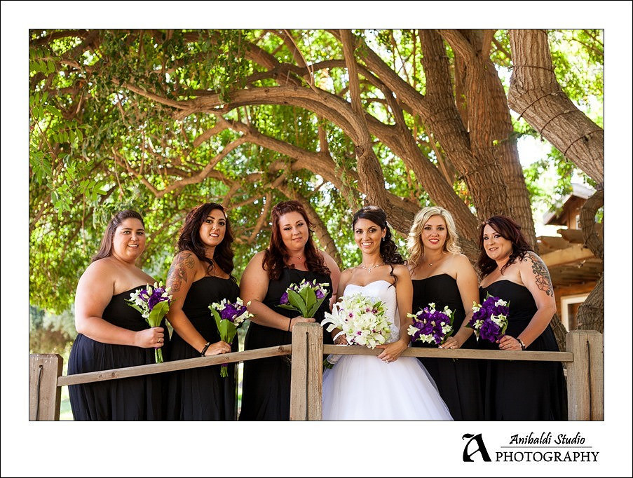 023-Lake Oak Meadows Wedding Photographer