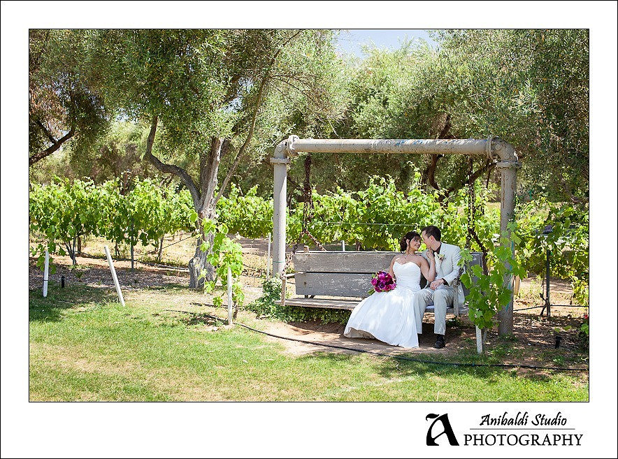 028-Bernardo_Winery_Wedding_Photography