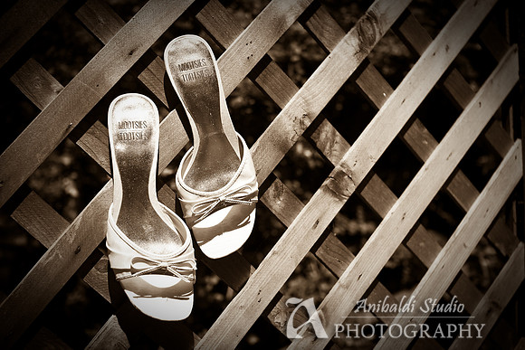 Chandra+Ian_Wed-003