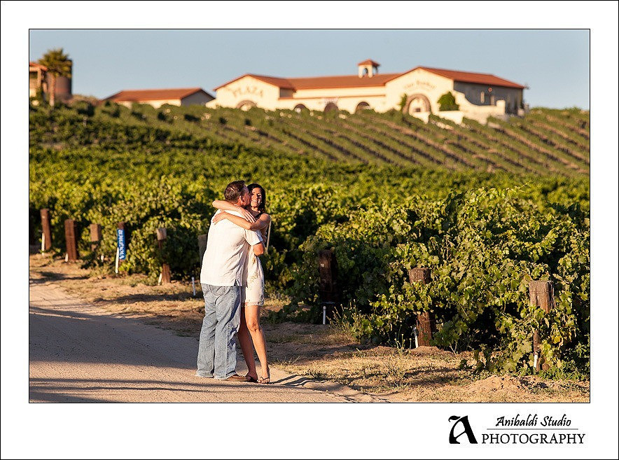 010-Temecula-Vineyard-Winery Engagement Pictures