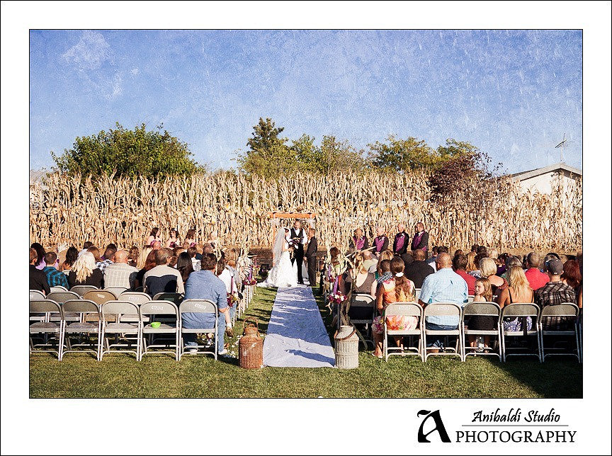161-Domenigoni_Wedding-texture
