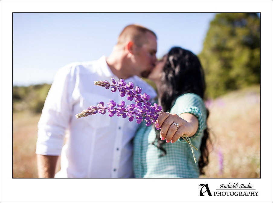 042-Chris Jackie_Engagement