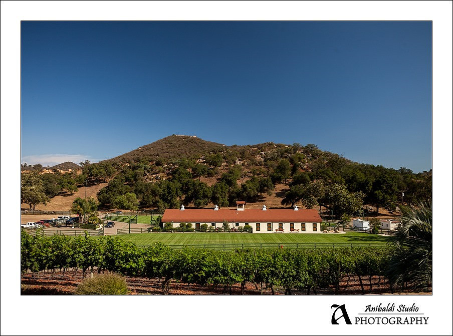 069-Melrose Ranch Wedding Photography