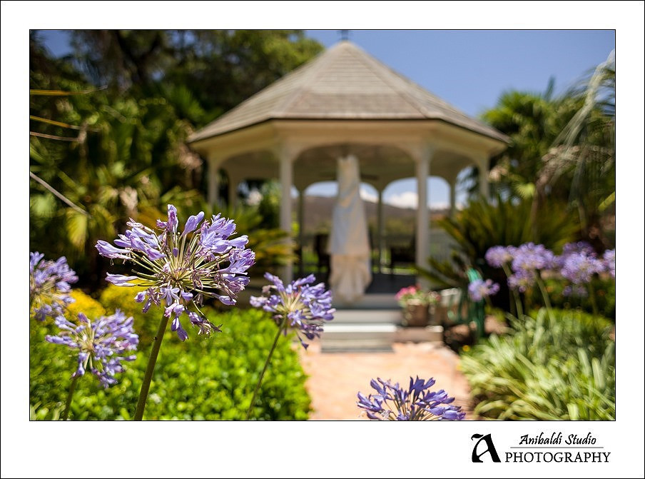 005-Melrose Ranch Wedding Photography