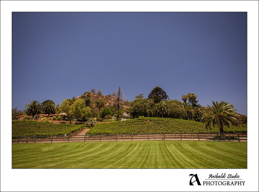 002-Melrose Ranch Wedding Photography