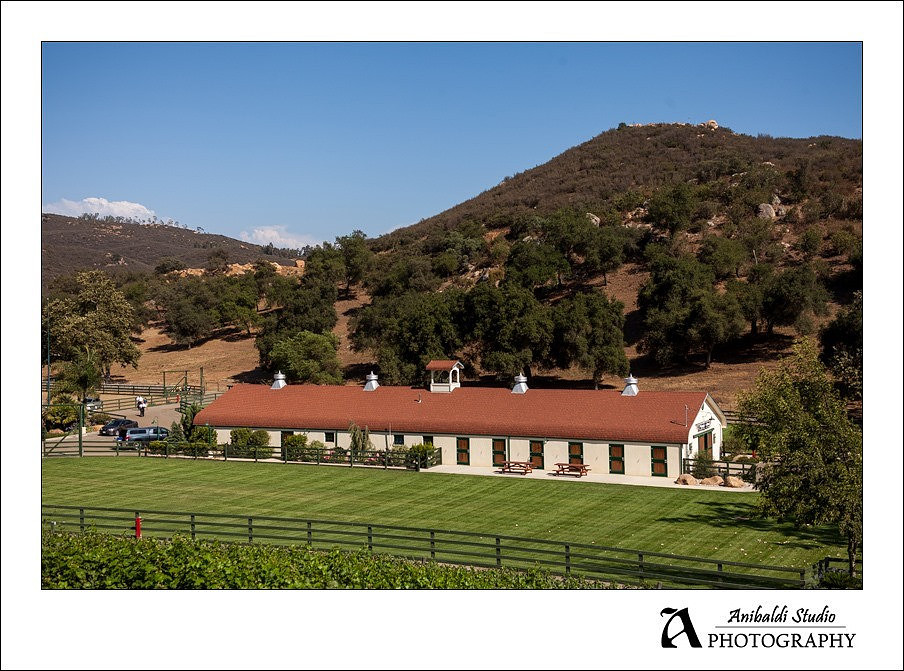 065-Melrose Ranch Wedding Photography
