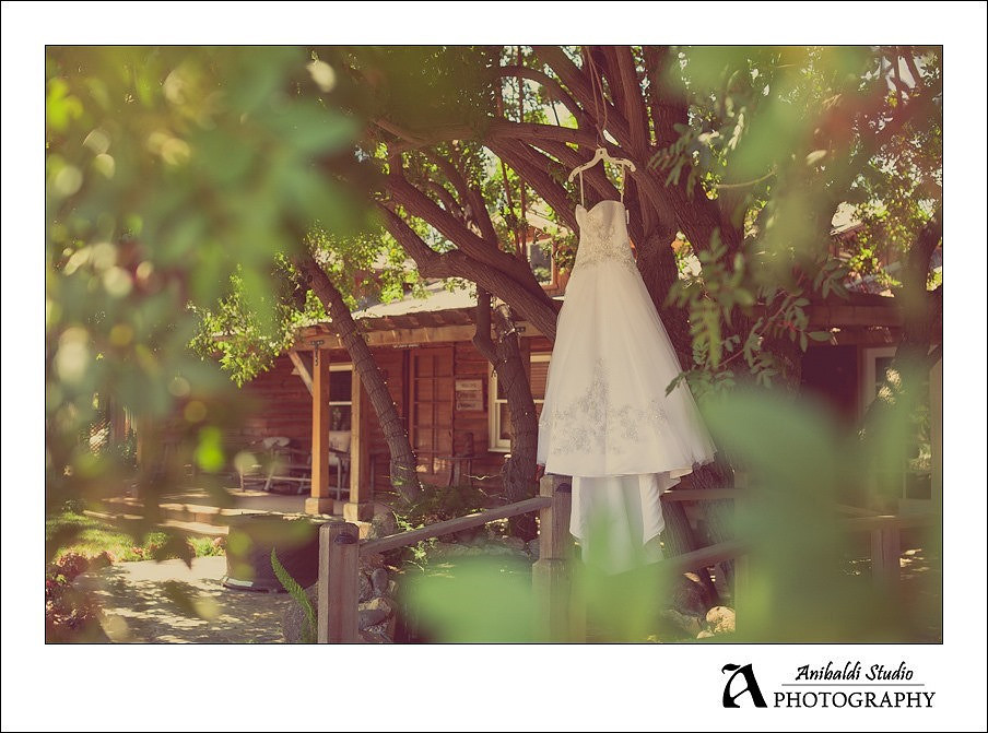 009-Lake Oak Meadows Wedding Photographer
