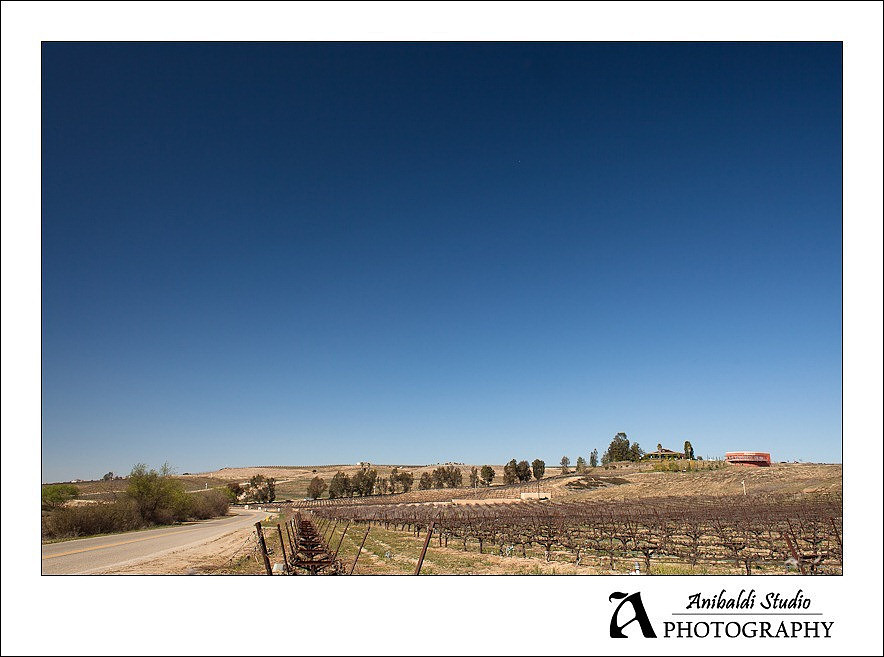 001-Falkner Winery Temecula Wedding Photos