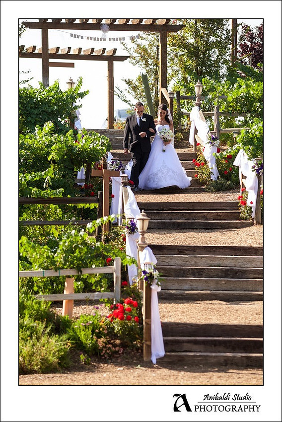 039-Lake Oak Meadows Wedding Photographer