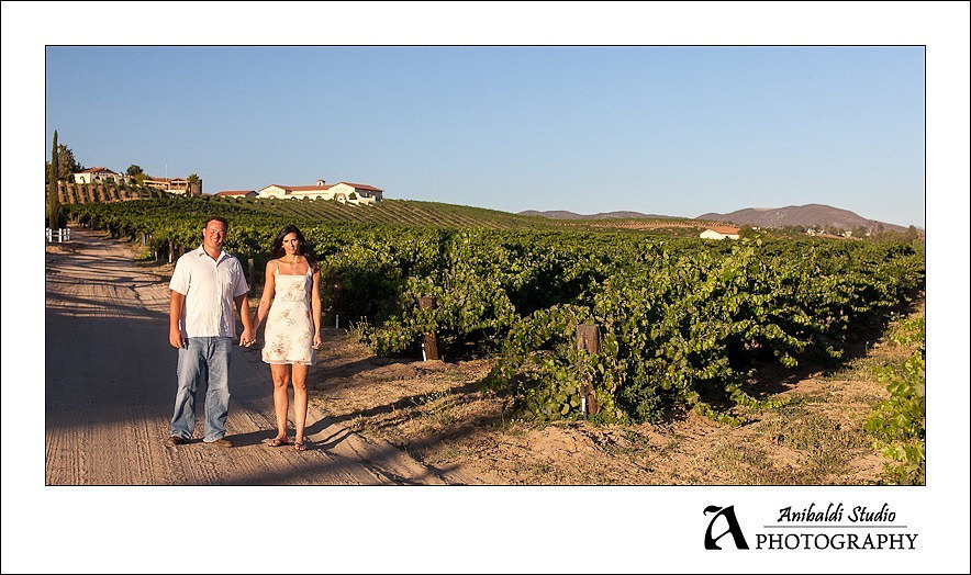 009-Temecula-Vineyard-Winery Engagement Pictures
