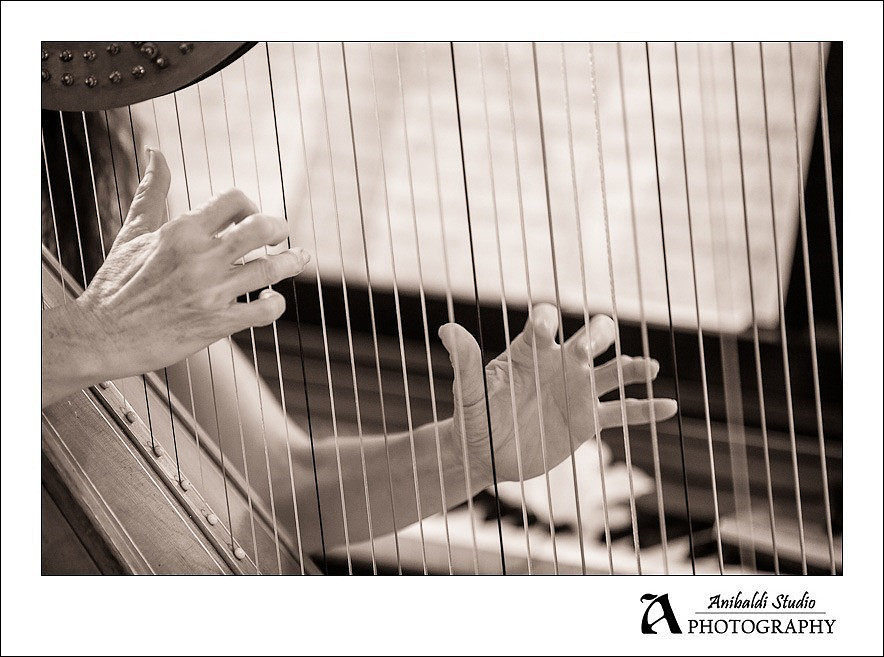 harp at wedding
