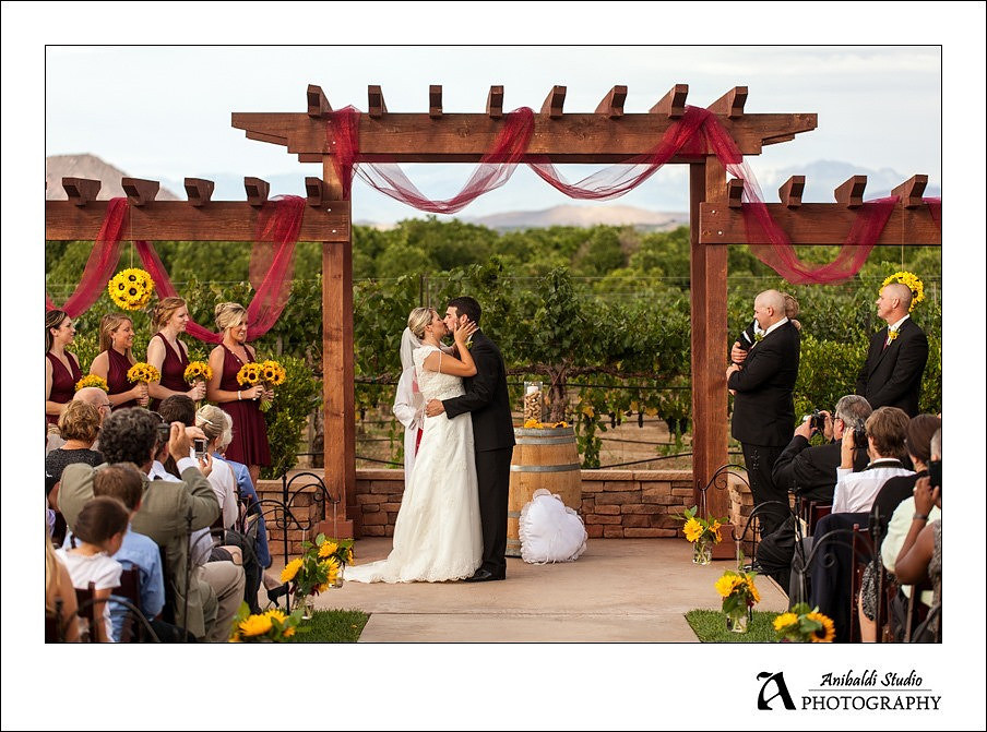 030-Wiens Winery Temecula Wedding Photography