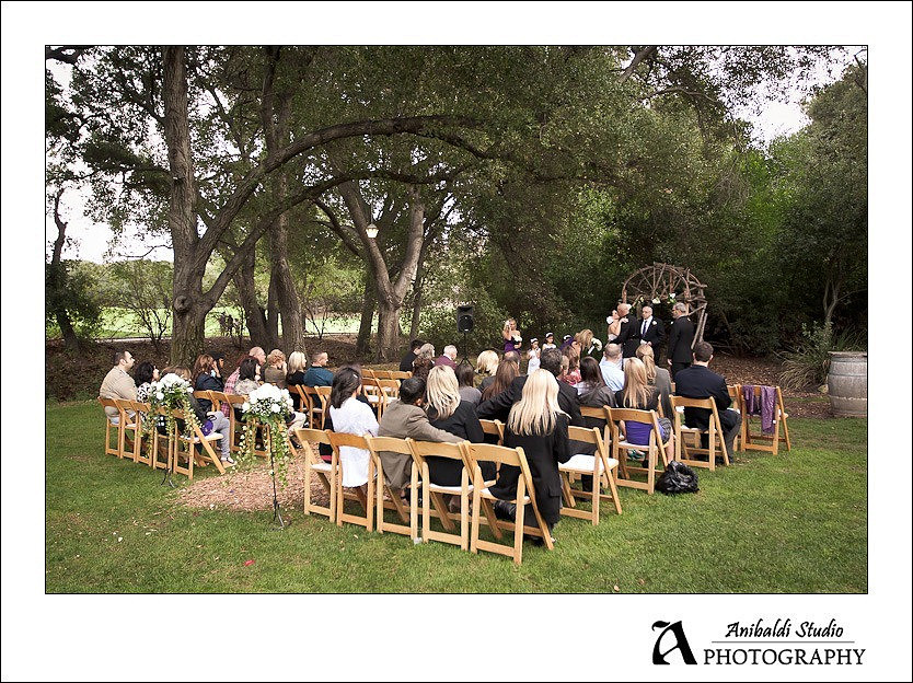 Tmeeucla Creek Stonehouse Wedding Photograph-012