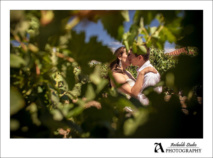 South-Coast-vineyard wedding photo