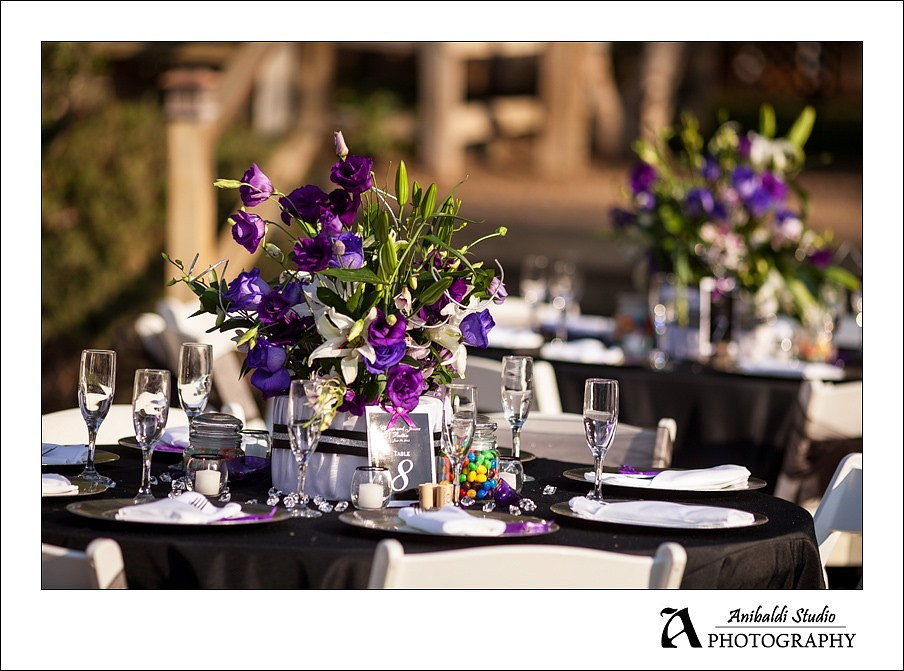 061-Lake Oak Meadows Wedding Photographer